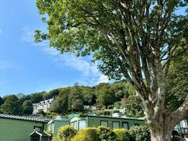 Woodlands Holiday Park - Holiday Accommodation 22325 - Mid Wales - 1188642 - thumbnail photo 11