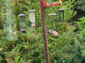 Looe Bay Holiday Park - Holiday Accommodation 22339 - Devon - 1188651 - thumbnail photo 14
