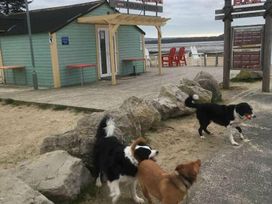 Rockley Park - Holiday Accommodation 228 - Dorset - 1188704 - thumbnail photo 15