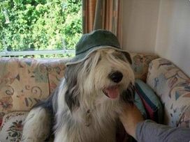 West Wayland Caravan Park - Holiday Accommodation 3255 - Devon - 1188791 - thumbnail photo 1