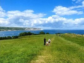Swanage Bay View - Holiday Accommodation 3474 - Dorset - 1188809 - thumbnail photo 13