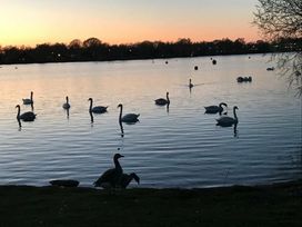 Tattershall Lakes Country Park - Holiday Accommodation 5852 - Lincolnshire - 1188957 - thumbnail photo 14