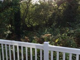 Oakdene Forest Park - Holiday Accommodation 6437 - Hampshire - 1189011 - thumbnail photo 9
