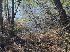 Oakdene Forest Park - Holiday Accommodation 6437 - Hampshire - 1189011 - thumbnail photo 13
