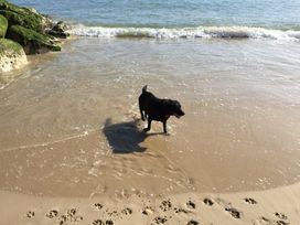 Oakdene Forest Park - Holiday Accommodation 6437 - Hampshire - 1189011 - thumbnail photo 15
