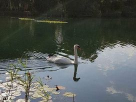 Tattershall Lakes Country Park - Holiday Accommodation 6778 - Lincolnshire - 1189033 - thumbnail photo 17