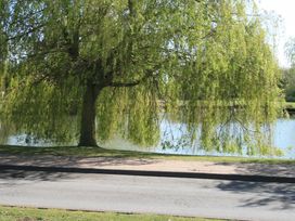 A tree near a pond at Southview Holiday Park 7251 Skegness