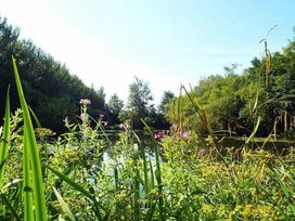 Borwick Lakes - Holiday Accommodation 8595 - Lake District - 1189178 - thumbnail photo 10