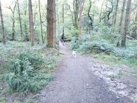Smytham Holiday Park - Holiday Accommodation 9561 - Devon - 1189261 - thumbnail photo 16