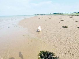 Craig Tara Holiday Park - Holiday Accommodation 9779 -  - 1189285 - thumbnail photo 7