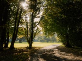 A pathway surrounded by trees and grass at St Ives Studio in Praze-An-Beeble