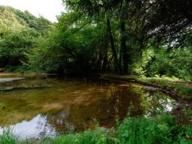 A pond surrounded by trees and grass at Ladye Park in Liskeard