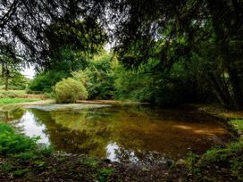 A pond surrounded by trees and bushes at Ladye Park in Liskeard