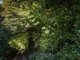 A narrow road lined with dense greenery at Ladye Park in Liskeard