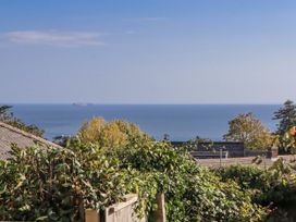 A view of the sea and trees from a hillside at Woodbury in Teignmouth