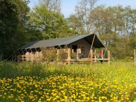 A tent structure with decking and seating near flowering plants at Camnant near Newcastle Emlyn
