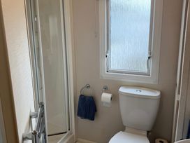 A bathroom with a shower and toilet at Ty Cariad
