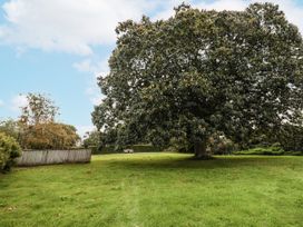 A garden with a large tree and benches at Rushmoor Cottage in Colaton Raleigh
