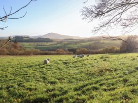 A landscape with sheep grazing in a field at 1 Fron Uchaf in Parc near Bala