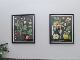Framed botanical art of strawberries and apples at 2 Trem Y Mor Llanfwrog near Llanfachraeth