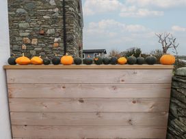 A row of pumpkins on top of a wooden fence at Hen Penmynydd near Llanfachraeth