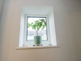 A window with a plant in a pot and shells at 16 Ffordd Meigan Beaumaris