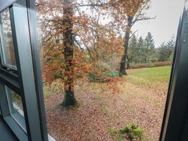 A view of trees and grass from a window at Chapel Hill in Catlowdy