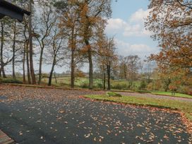 An outdoor scene with trees and fallen leaves at Chapel Hill in Catlowdy
