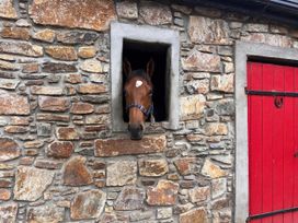 Robins Rest at The Lodge - South Ireland - 1190502 - thumbnail photo 2