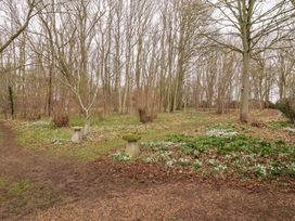 A garden with trees and stone benches at Owl Cottage in Woodbridge