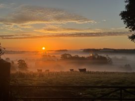 A sunrise with cows in a misty field at The Bus on the Hill in Huntsham near Bampton, Devon