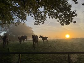 The Bus on the Hill - Devon - 1190662 - thumbnail photo 40