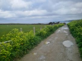 A path with grass and puddles along a fence near the sea at 237 - Penkalick Padstow