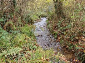 A stream surrounded by ferns and trees at Copper Mine Cottage Bodmin