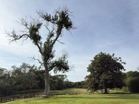 A tree with sparse branches and a grassy area at Copper Mine Cottage in Trelill near Port Isaac