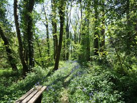 A path through trees with wildflowers at Copper Mine Cottage in Trelill near Port Isaac
