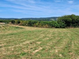 A field with grass and trees in the background at The Milk Shed in Plymtree