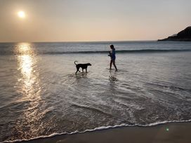 A person and a dog walking in the water at sunset at The Nook 