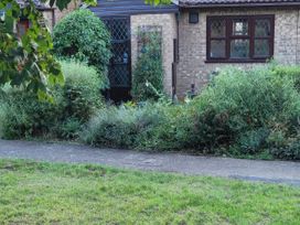 A garden with various plants and a pathway at the property
