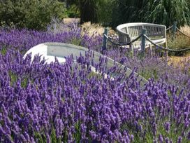 A garden with lavender flowers and a bench at the garden in 