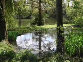 A natural scene with a pond surrounded by trees and grasses at location