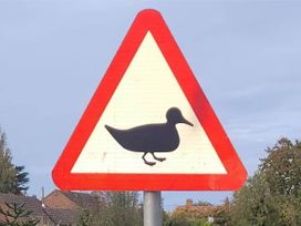 A warning sign featuring a duck silhouette in an urban area