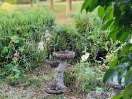 A garden with a birdbath surrounded by flowers and shrubs at 