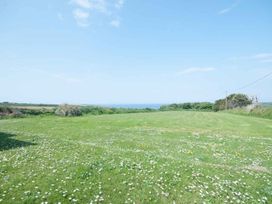 A landscape with grass and daisies overlooking the sea at Chynoweth in Crantock
