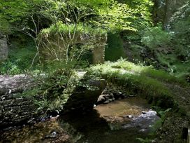 A stream with an archway and vegetation in a forested area at Baillie Chalet