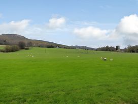 A green field with sheep and hills in the background