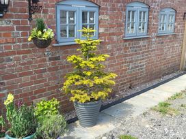 A garden with a potted plant and hanging basket at Old Highwood Barns in Dunkeswell