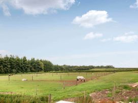 An outdoor area with a horse in a field at Old Highwood Barns Dunkeswell