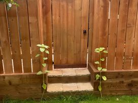 Little Russets - Devon - 1190884 - thumbnail photo 13