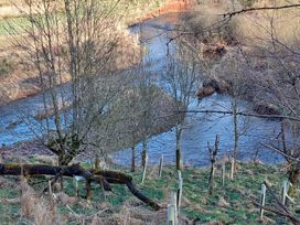 A river surrounded by trees and grass at an outdoor location